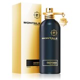 Montale Oudyssee Parfémovaná voda 100ml