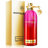 Montale Velvet Fantasy Parfémovaná voda 100ml