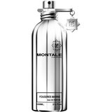 Montale Fougeres Marine Parfémovaná voda 100ml