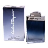 Salvatore Ferragamo Subtil Pour Homme Toaletná voda 50ml