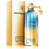 Montale Aoud Lagoon Parfémovaná voda, 100ml
