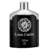 Louis Cardin Silver Homme Parfémovaná voda 100ml