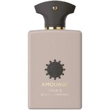 Amouage Opus V Woods Symphony Parfémovaná voda