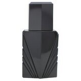 Elizabeth Taylor Passion For Men Kolínska voda