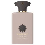 Amouage Opus XIV Royal Tobacco Parfémovaná voda 100ml