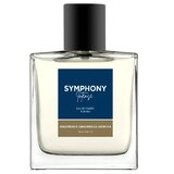 Melody Symphony Intense Men Toaletná voda