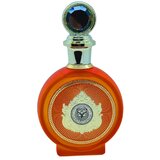 North Stag Expressions IV Quarte Parfémovaná voda 100ml