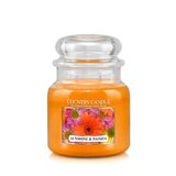 Country Candle Sunshine & Daisies vonná sviečka stredná 2-knôtová (453 g)