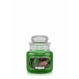 Country Candle Balsam Fir vonná sviečka mini 1-knôtová (104 g)