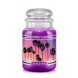 Country Candle Purple Palm vonná sviečka veľká 2-knôtová (652 g)