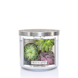 Kringle Candle TUMBLER Succulents 3-knôtová vonná sviečka 411g