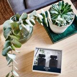 ipuro Essentials Black Bamboo 2x50ml difúzor v darčekovom balení