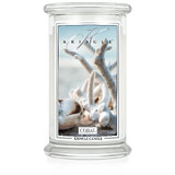 Kringle Candle Coral vonná sviečka veľká 2-knôtová (624 g)