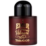 Emir Vibrant Spicy Tobacco Parfumovaná voda 100ml