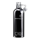 Montale Aoud Lime Parfumovaná voda 100ml