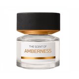 BMW The Scent of Amberness Parfumovaná voda 50ml