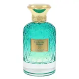 Flavia Celestc Horizon Parfumovaná voda 100ml