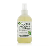 Instituto Español Gotas Frescas Kolínska voda 250 ml
