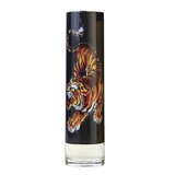 Christian Audigier Ed Hardy Men's Toaletná voda 100ml