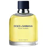 Dolce & Gabbana Pour Homme Toaletná voda 75ml