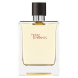 Hermes Terre D'Hermes Toaletná voda 100ml