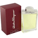 Salvatore Ferragamo Salvatore Ferragamo pour Homme Toaletná voda, 100ml