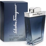 Salvatore Ferragamo Subtil Pour Homme Toaletná voda 100ml