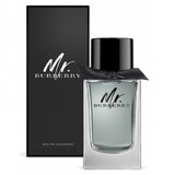 Burberry Mr. Burberry Toaletná voda, 150ml