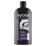 Šampón pre melírované, blond a šedivé vlasy Blonde & Silver (Purple Shampoo) 500 ml
