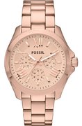 Fossil AM4511