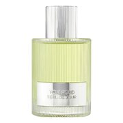 Tom Ford Beau de Jour Parfémovaná voda 100ml