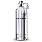 Montale Ginger Musk parfém 100ml