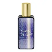 Iceberg Change The Flow For Him Toaletná voda 30ml