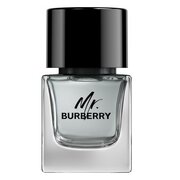Burberry Mr. Burberry for Men Eau de toilette Toaletná voda 50ml