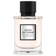 David Beckham Follow Your Instinct Eau de Parfum Parfémovaná voda 50ml