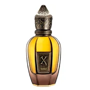 Xerjoff Tempest Parfémovaná voda 50ml