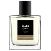Melody Blues Amber Men Toaletná voda 100ml