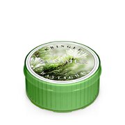 Kringle Candle Balsam Fir vonná sviečka (35 g)