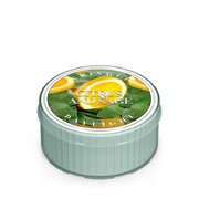Kringle Candle CITRUS & SAGE vonná sviečka (35 g)