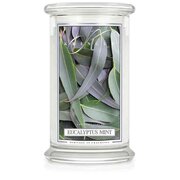 Kringle Candle Eucalyptus Mint vonná sviečka veľká 2-knôtová (624 g)