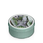 Kringle Candle Eucalyptus Mint vonná sviečka (35 g)