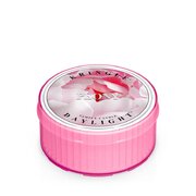 Kringle Candle Peony vonná sviečka (35 g)