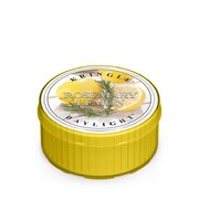 Kringle Candle Rosemary Lemon vonná sviečka (35 g)