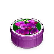 Kringle Candle Sweet Pea vonná sviečka (35 g)