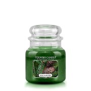 Country Candle Balsam Fir vonná sviečka stredná 2-knôtová (453 g)