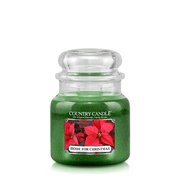 Country Candle Home for Christmas vonná sviečka stredná 2-knôtová (453 g)