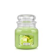 Country Candle Honeydew vonná sviečka stredná 2-knôtová (453 g)