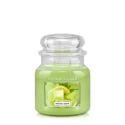 Country Candle Honeydew vonná sviečka stredná 2-knôtová (453 g)