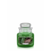 Country Candle Balsam Fir vonná sviečka mini 1-knôtová (104 g)