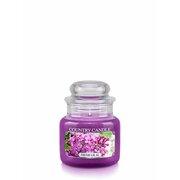 Country Candle Fresh Lilac vonná sviečka mini 1-knôtová (104 g)